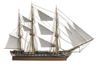 Constitution